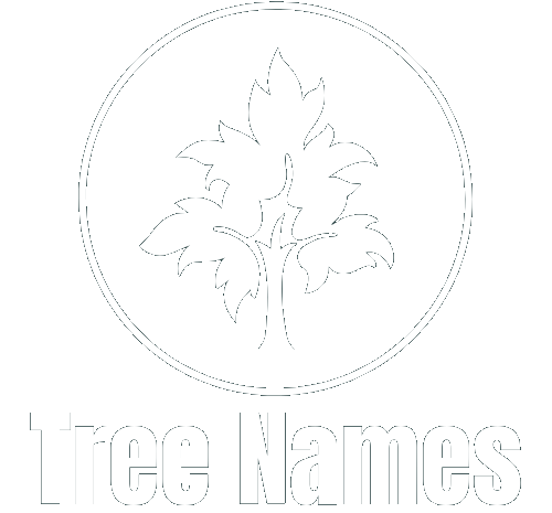 common names of trees