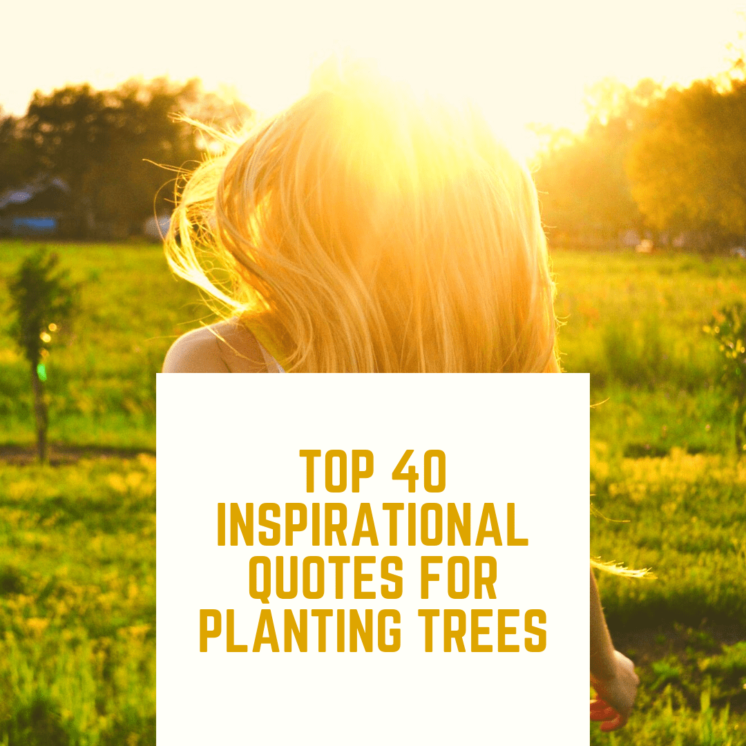Quotes For Planting Trees