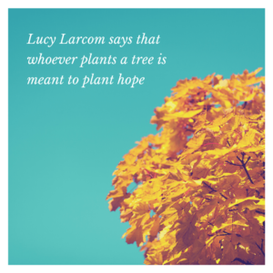 Quotes For Planting Trees - Top 40 Inspirational Quotes
